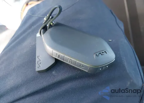 2024 Kia Telluride Sx X-Line из США, поврежденный, VIN 5XYP5DGC1RG545445